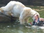Who’s Who In the Zoo? With Peter Boo